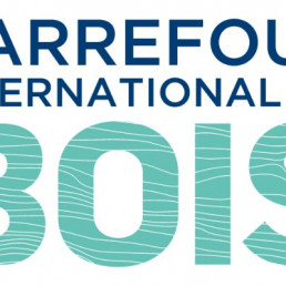 logo-carrefour-du-bois